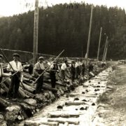 Schwarzenbergischer Schwemmkanal