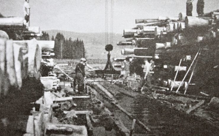 Schwarzenbergischer Schwemmkanal