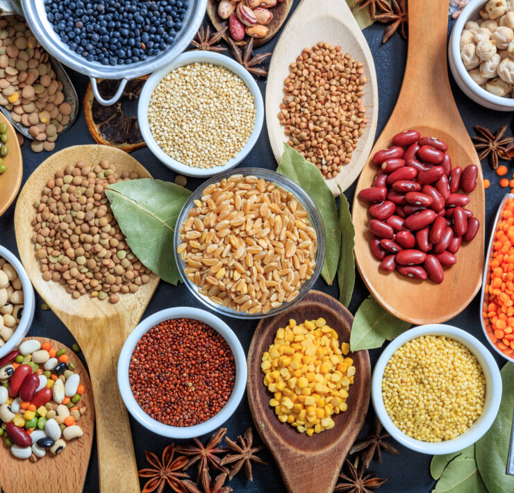 Composition Of Various Kinds Of Legumes