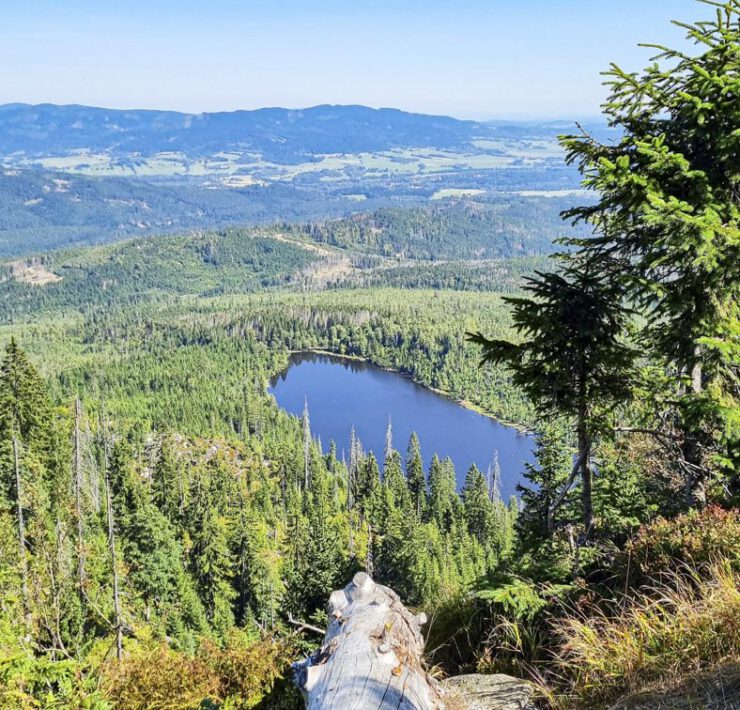 Der Plöckensteinsee