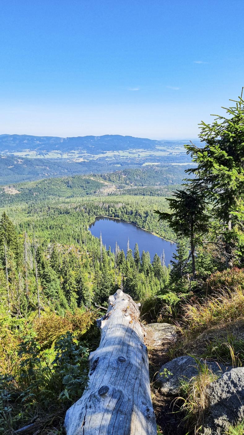 Der Plöckensteinsee
