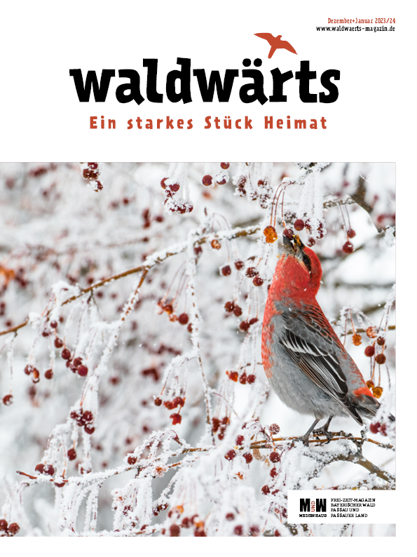 Waldwaerts_Titel_2347