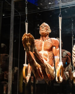 Ringturner-BW3A5733alphin-KW6-EF23-min