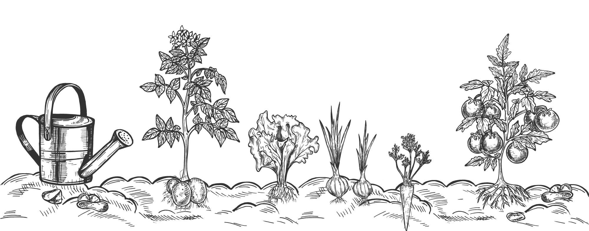 AdobeStock_315190641-[Konvertiert]