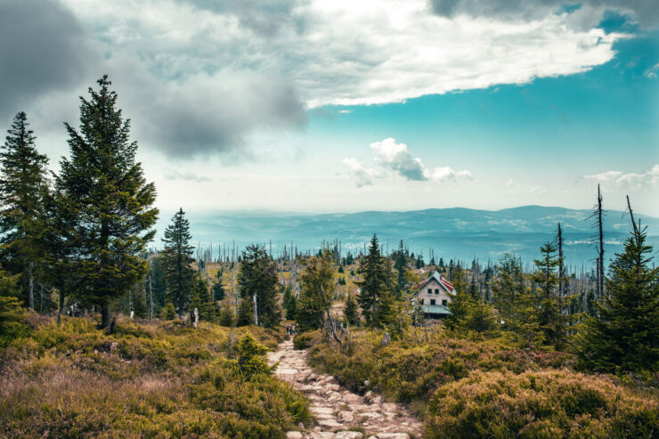 Adobestock 385118960