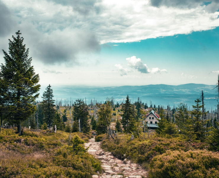 Adobestock 385118960