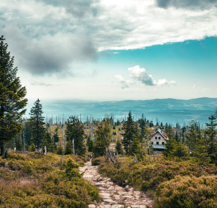 Adobestock 385118960