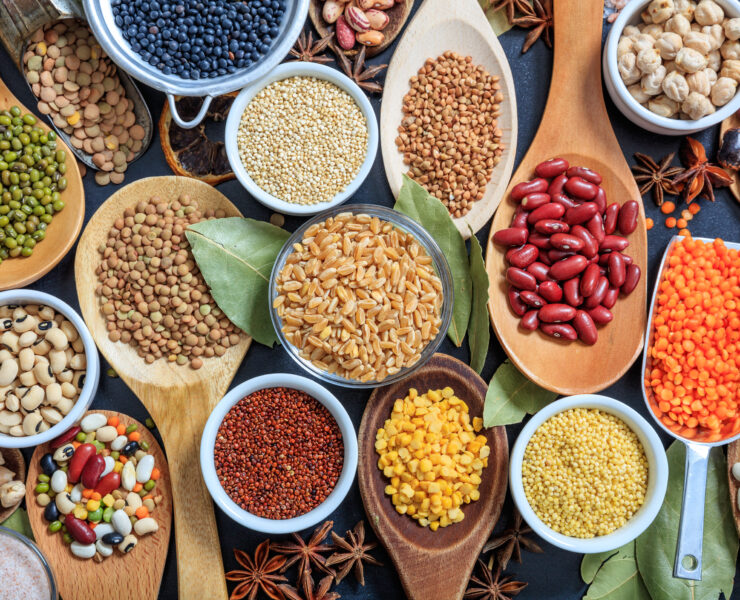 Composition Of Various Kinds Of Legumes