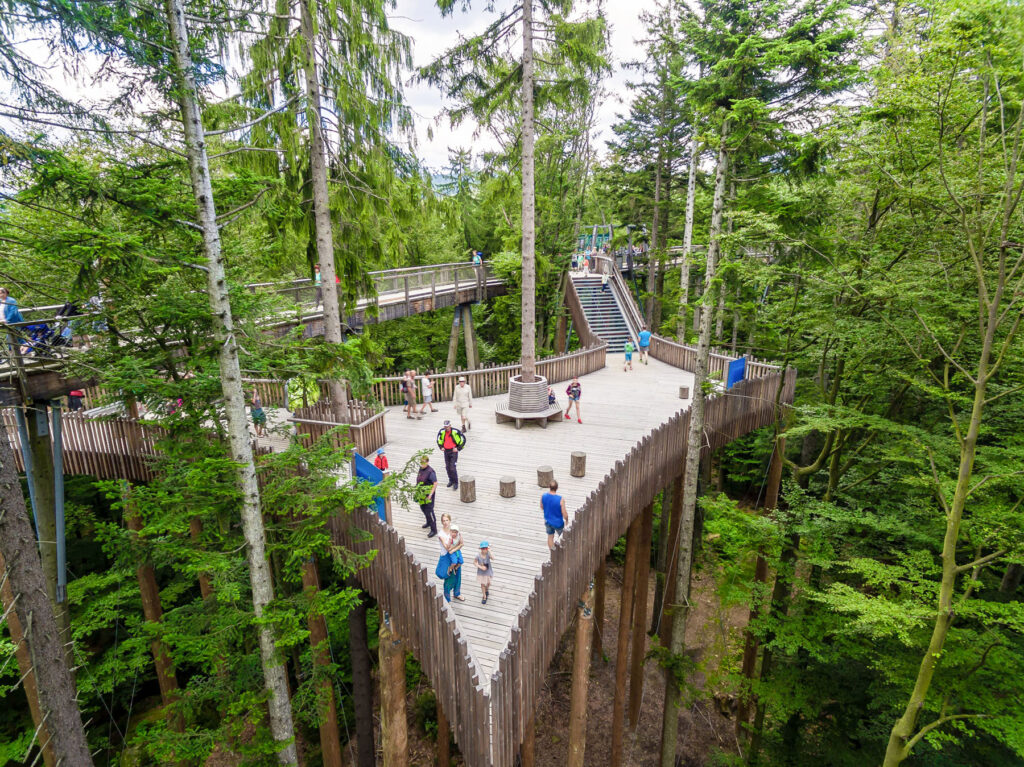 Bwp Bw Img 0395 Luftaufnahme Sommer@eak