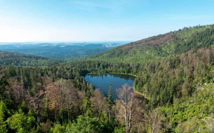 Der Rachelsee. (Foto: AdobeStock)