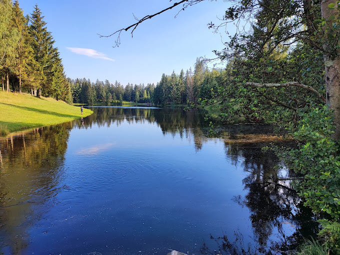 Riedelsbacher Stausee