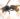 Hornissen 2537 Ww Online
