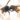 Hornissen 2537 Ww Online